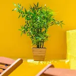 Apartamento Alfama, Bright And Spacious With Private Terrace, By Timecooler Lisboa