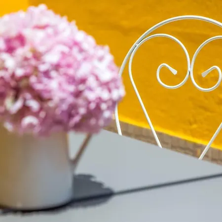 Alfama, Bright And Spacious With Private Terrace, By Timecooler *