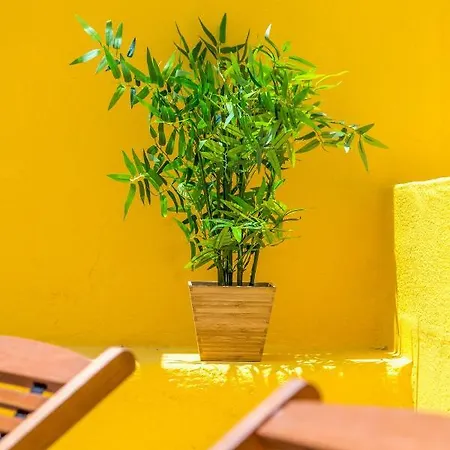 Apartment Alfama, Bright And Spacious With Private Terrace, By Timecooler Lissabon