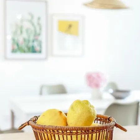 Alfama, Bright And Spacious With Private Terrace, By Timecooler * Lisboa