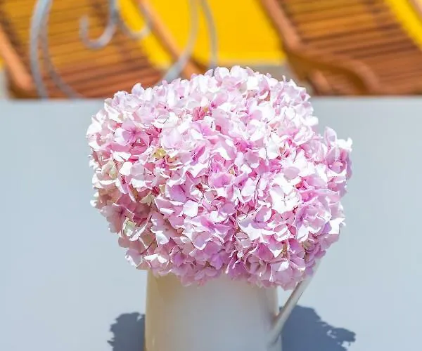 شقة Alfama, Bright And Spacious With Private Terrace, By Timecooler