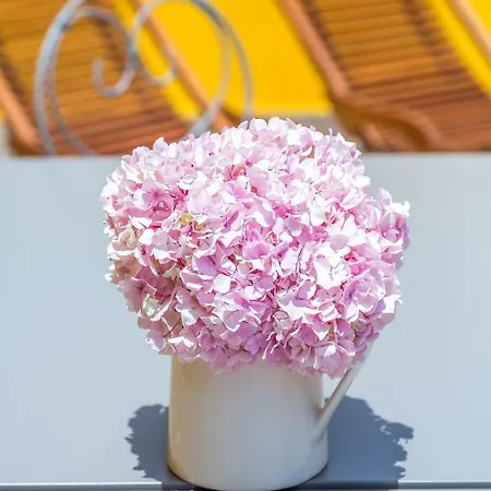 Apartman Alfama, Bright And Spacious With Private Terrace, By Timecooler